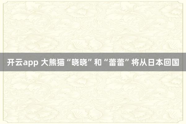 开云app 大熊猫“晓晓”和“蕾蕾”将从日本回国