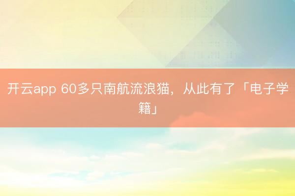 开云app 60多只南航流浪猫，从此有了「电子学籍」