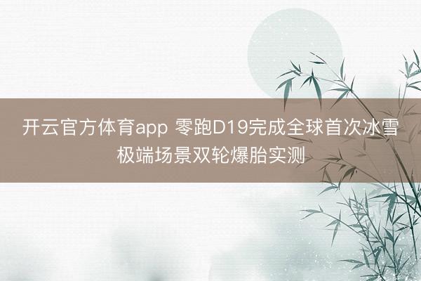 开云官方体育app 零跑D19完成全球首次冰雪极端场景双轮爆胎实测
