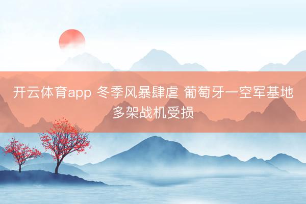 开云体育app 冬季风暴肆虐 葡萄牙一空军基地多架战机受损