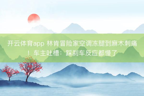 开云体育app 林肯冒险家空调冻腿到麻木刺痛！车主吐槽：踩刹车反应都慢了