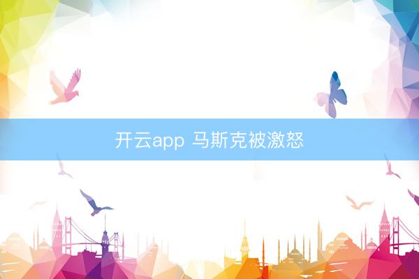 开云app 马斯克被激怒