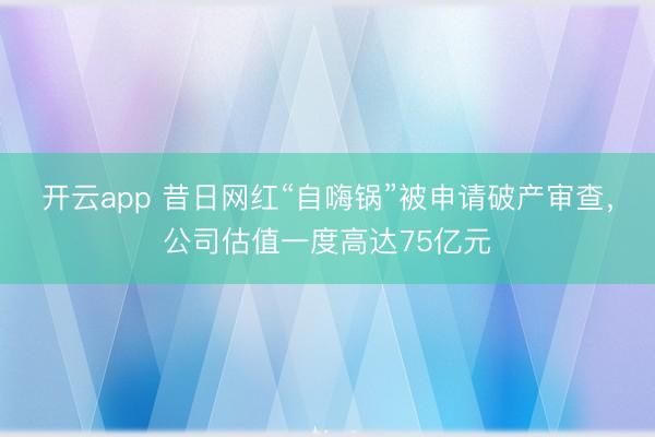 开云app 昔日网红“自嗨锅”被申请破产审查，公司估值一度高达75亿元