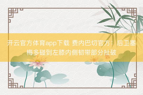 开云官方体育app下载 费内巴切官方：后卫塞梅多碰到左膝内侧韧带部分扯破