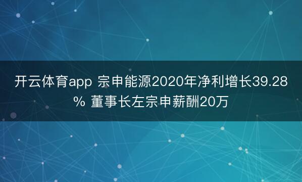 开云体育app 宗申能源2020年净利增长39.28% 董事长左宗申薪酬20万