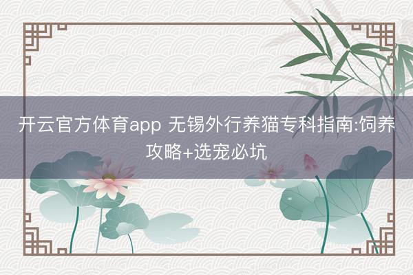 开云官方体育app 无锡外行养猫专科指南:饲养攻略+选宠必坑