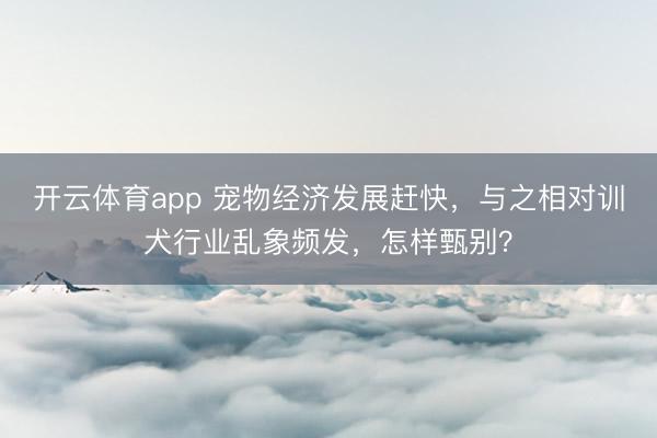 开云体育app 宠物经济发展赶快,与之相对训犬行业乱象频发,怎样甄别?