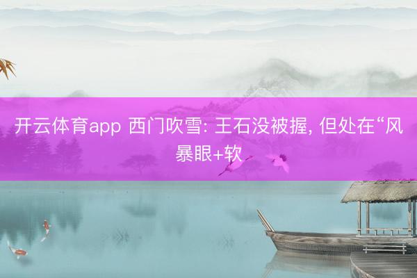 开云体育app 西门吹雪: 王石没被握， 但处在“风暴眼+软