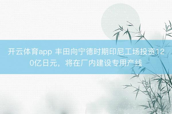 开云体育app 丰田向宁德时期印尼工场投资120亿日元，将在厂内建设专用产线