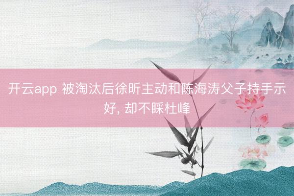 开云app 被淘汰后徐昕主动和陈海涛父子持手示好, 却不睬杜峰