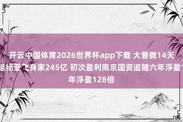 开云中国体育2026世界杯app下载 大普微14天涨10倍杨亚飞身家245亿 初次盈利南京国资追随六年浮盈128倍
