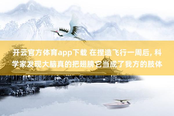 开云官方体育app下载 在捏造飞行一周后, 科学家发现大脑真的把翅膀它当成了我方的肢体
