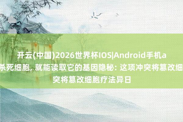 开云(中国)2026世界杯IOS|Android手机app下载 不杀死细胞, 就能读取它的基因隐秘: 这项冲突将篡改细胞疗法异日