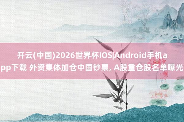 开云(中国)2026世界杯IOS|Android手机app下载 外资集体加仓中国钞票, A股重仓股名单曝光