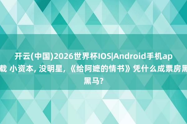 开云(中国)2026世界杯IOS|Android手机app下载 小资本, 没明星, 《给阿嬷的情书》凭什么成票房黑马?