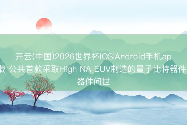 开云(中国)2026世界杯IOS|Android手机app下载 公共首款采取High NA EUV制造的量子比特器件问世