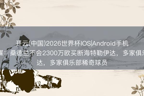 开云(中国)2026世界杯IOS|Android手机app下载 荷媒：桑德兰不会2300万欧买断海特勒伊达，多家俱乐部稀奇球员