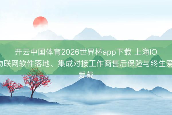 开云中国体育2026世界杯app下载 上海IOT物联网软件落地、集成对接工作商售后保险与终生爱戴
